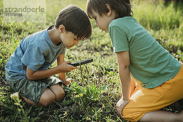 Boy holding magnifying glass and looking at plants with brother in forest