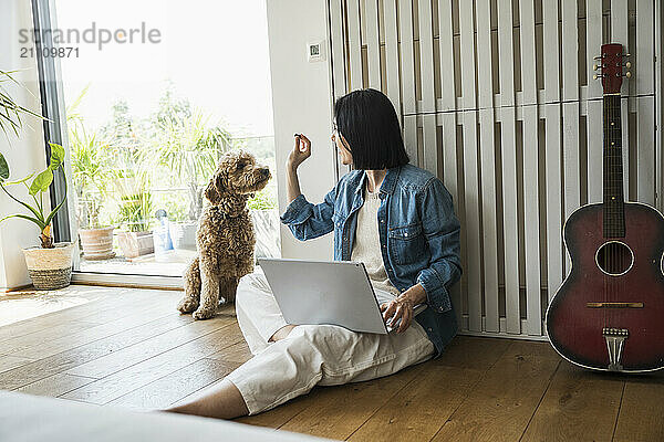 Woman working on laptop and feeding dog at home