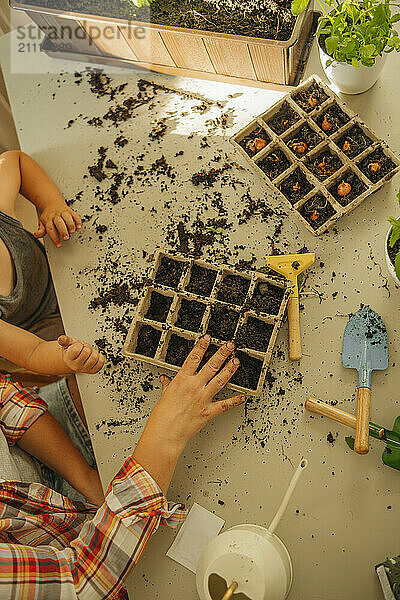 Hands of mother and son with seedling trays on table