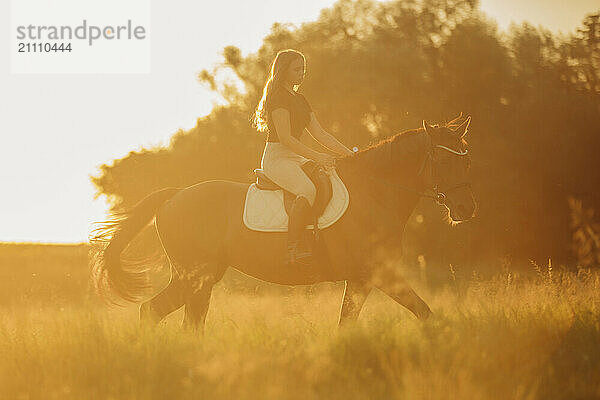 Girl riding horse in meadow