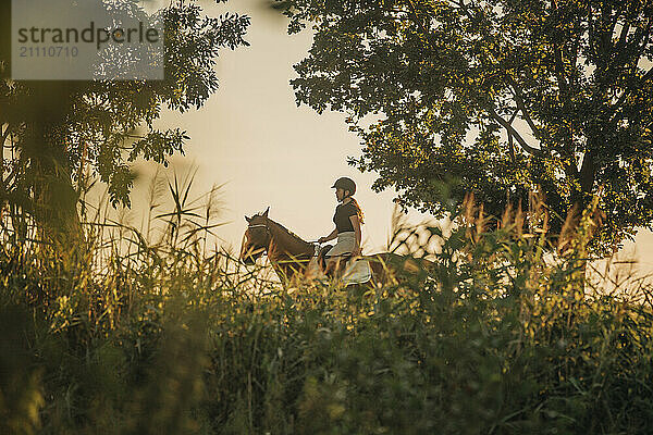 Girl doing horseback riding in meadow