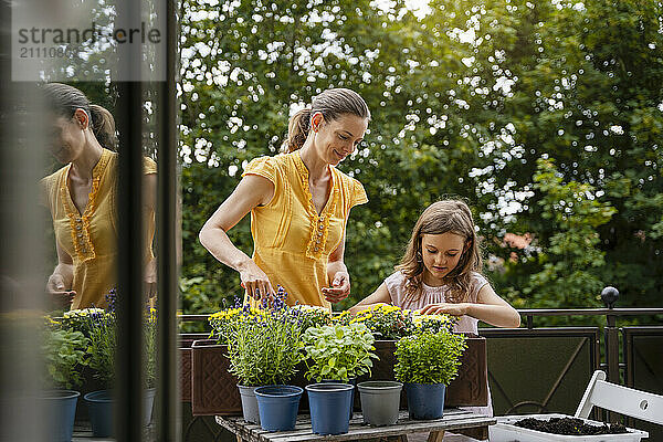 Daughter with mother planting flowers on balcony