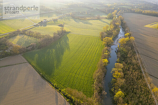 Aerial view of green fields in Umbertide  Umbria  Italy during spring.