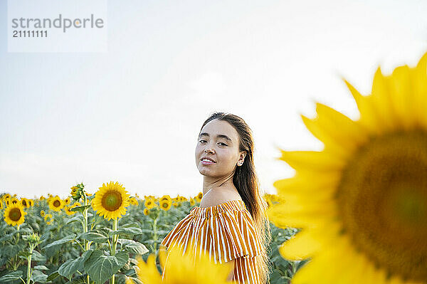 Beautiful woman at sunflower field under clear sky