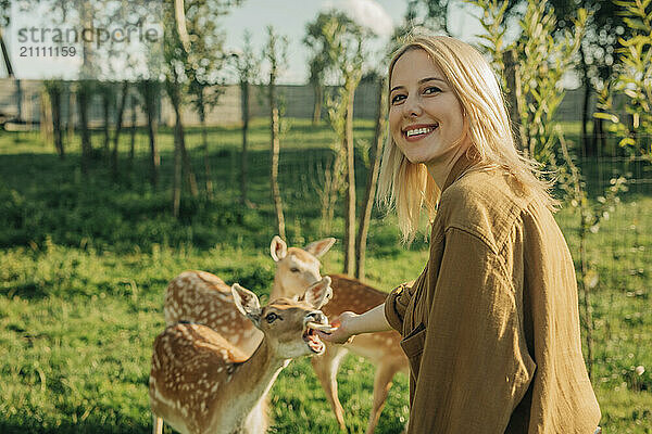 Happy woman feeding deer in farm