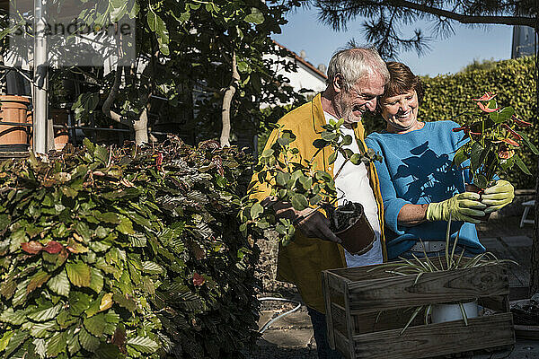 Happy senior couple looking at potted plant in back yard