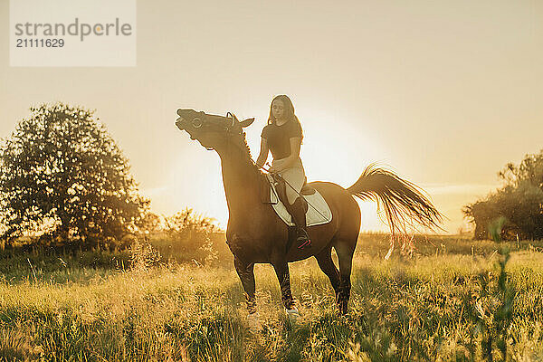 Girl sitting on neighing horse in meadow on sunny day