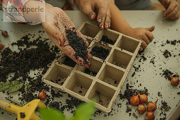 Hand of woman filling soil in seedling tray