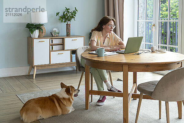 Woman working on laptop by pet dog sitting at home