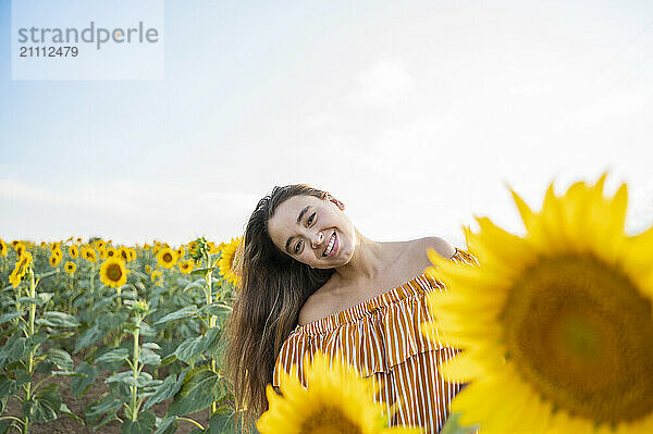 Happy woman with head cocked in sunflower field under clear sky