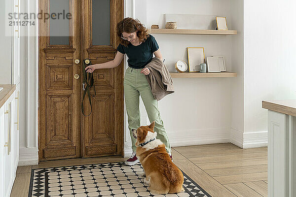 Woman with pet leash looking at Welsh Corgi dog sitting at home