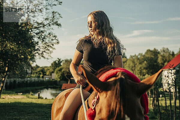 Girl sitting on horse at farm on sunny day