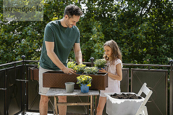 Mature man with daughter planting flowers in tray