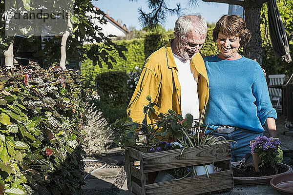 Affectionate senior couple standing near table with crate of potted plants at back yard