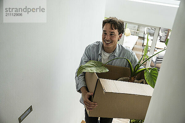 Smiling man carrying cardboard box with houseplant near wall at new apartment