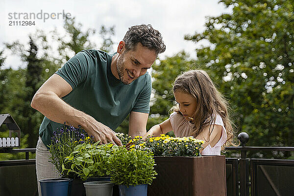 Father with daughter planting flowers in tray