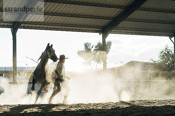 Man with horse during dressage work