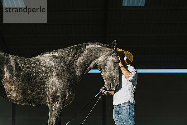 Man stroking his horse after dressage