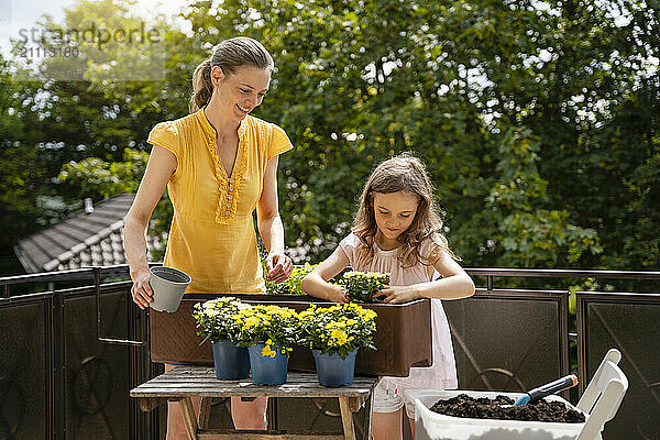 Smiling woman with daughter planting flowers on balcony