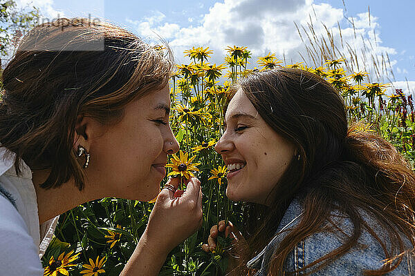 Happy gay couple smelling conflower in garden