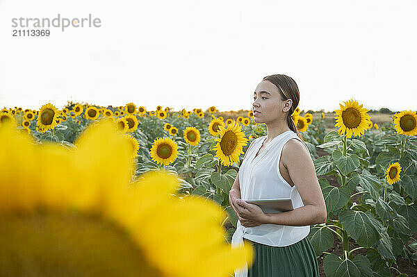 Farmer with tablet PC standing and analyzing sunflower field