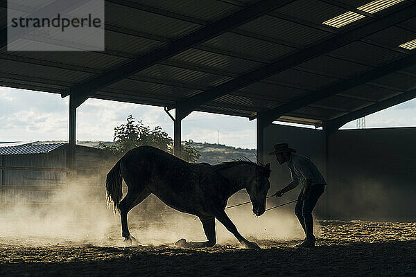 Man with horse during dressage work