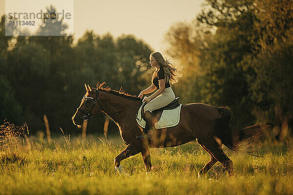 Girl riding horse in meadow