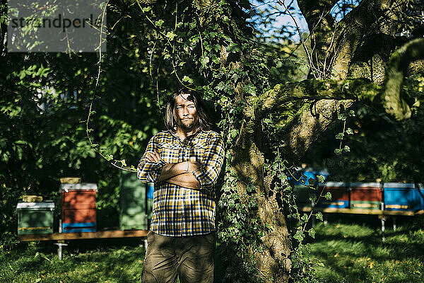 Farmer standing with arms crossed near tree at sunny day