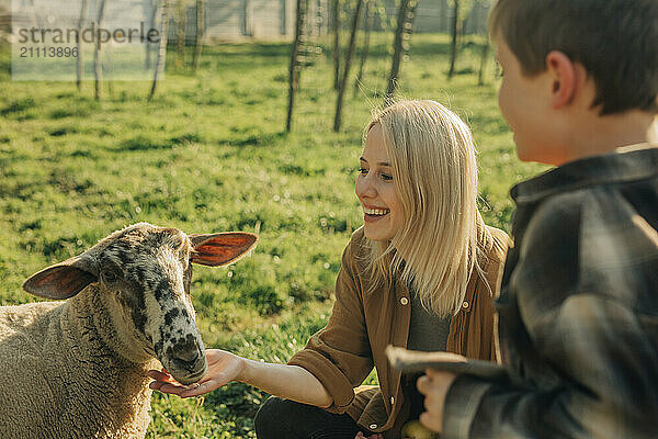 Happy mother and son with sheep in farm