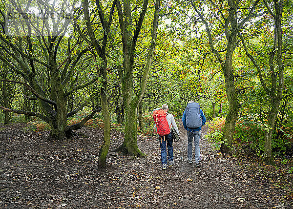 Friends with backpacks walking in Dunkeld Cave Crag in Scotland