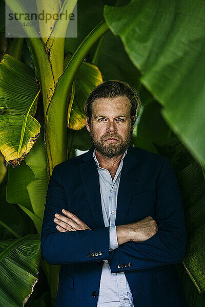 Confident businessman standing with arms crossed amidst palm tree