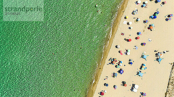 Aerial view of beach with colorful umbrellas near green sea