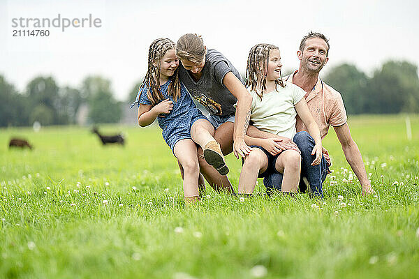 Family enjoying a playful moment on a grassy field with cows in the background.