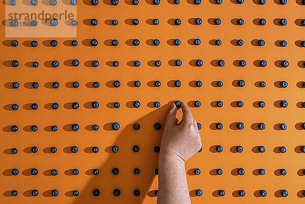 Frau Hand Arrangieren Blaubeeren symmetrisch  auf einem nahtlosen orangefarbenen Hintergrund. Flat lag der Heidelbeere Obst Muster. Sommerfrüchte lustiges Layout