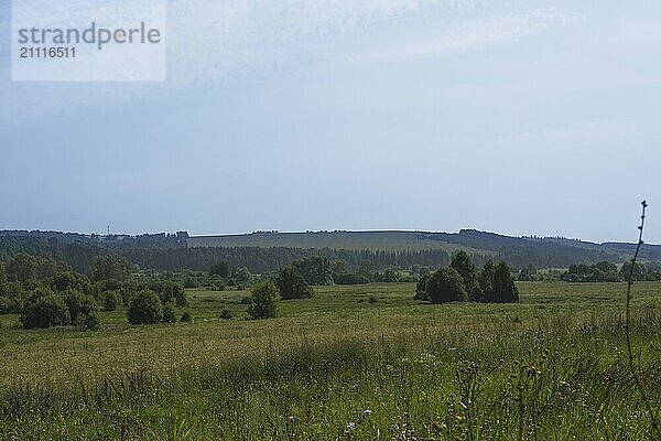 Russische heißen Sommer weites Feld schöne Landschaft Schuss mit feinen blauen Himmel und Wolken und mehrere Büsche im Vordergrund