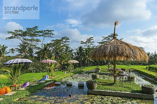 Café und Bistro in den Reisfeldern  Sitzplatz  aussen  Gastronomie  Garten  Reise  Tourismus  Ubud auf Bali  Indonesien  Asien