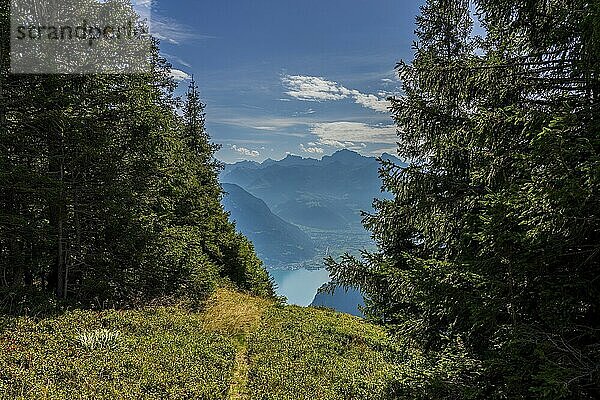 Panoramablick auf den Vierwaldstättersee in der Schweiz