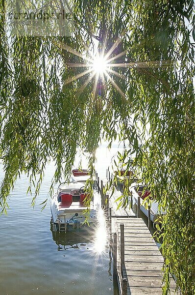 Bootssteg in Herrsching am Ammersee im Gegenlicht  Bayern  Deutschland  Europa