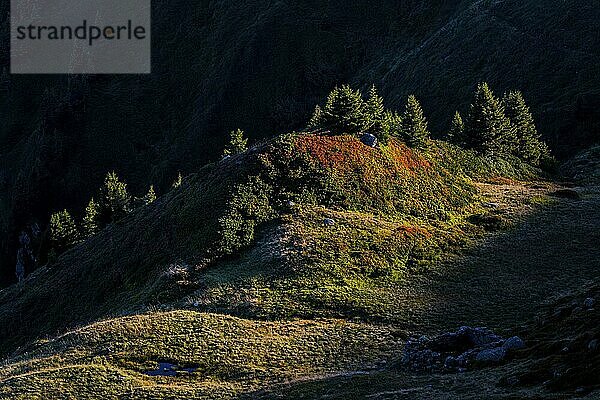 Hügelige Landschaft im Abendlicht  Sonnenstrahl  Gegenlicht  romantisch  herbstlich  Herbst  Jahreszeit  Ruhe  Tourismus  Bettmeralp