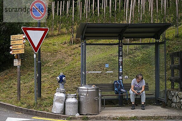 Ältere Frau  Best Ager  mit Rucksack  sitzt an Bushaltestelle  nutzt Smartphone  Handy  Haltestelle  Station  Milchkannen  Milchbehälter  Verkehr  Schenna  Scena  Südtirol  Autonome Provinz Bozen  Italien  Europa