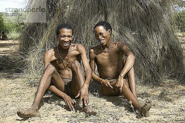 Buschmann  zwei Männer sitzen vor ihren tratitionelen Grasbedeckten Hütten. Namibia  Afrika  Namibia  Afrika