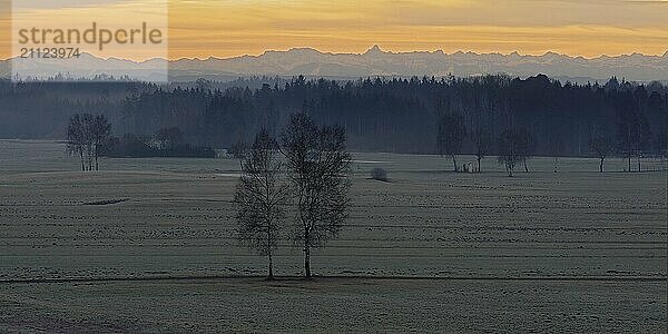 Riedlandschaft mit Alpenkette in der winterlichen Morgenröte