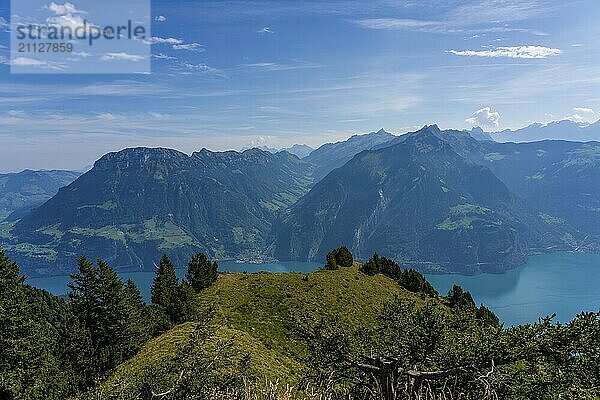 Panoramablick auf den Vierwaldstättersee in der Schweiz