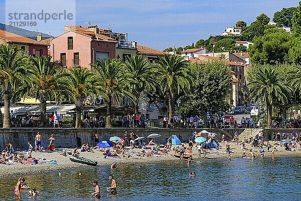 Menschen  die sich im Sommer am Strand von Collioure  Frankreich  vergnügen  Europa