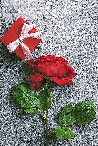 Geschenk Thema Bild mit einer schönen roten Rose und ein süßes kleines Geschenk Box in rotem Papier und einem rosa Band mit gebundenen Bogen  auf einem grauen Hintergrund gewickelt