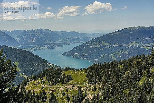 Panoramablick auf den Thunersee in der Schweiz