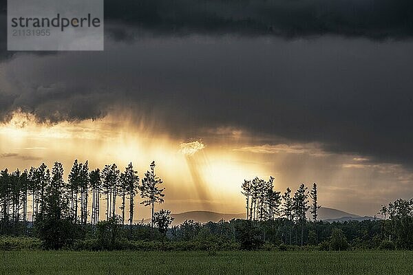 Gewitterstimmung mit Blick zum Brocken Harz