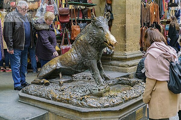 Porcellino Brunnen aus Bronze als Glücksbringer in Florenz  Italien  Europa