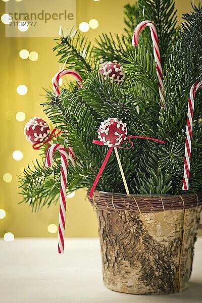 Rote Cake Pops mit Schleife in Weihnachtsdekoration Bouquet mit Zuckerstangen und einige Fichte. Sehr geringe Schärfentiefe und Weihnachtsbeleuchtung im Hintergrund