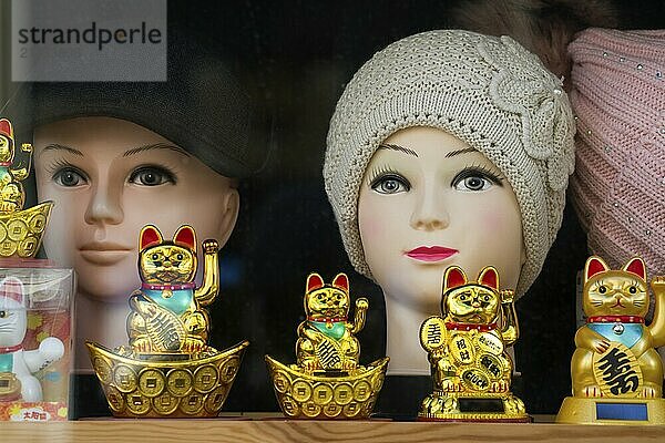 Maneki nekos  Schaufenster  Deutschland  Europa